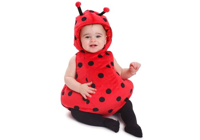 LITTLE LADY BUGS